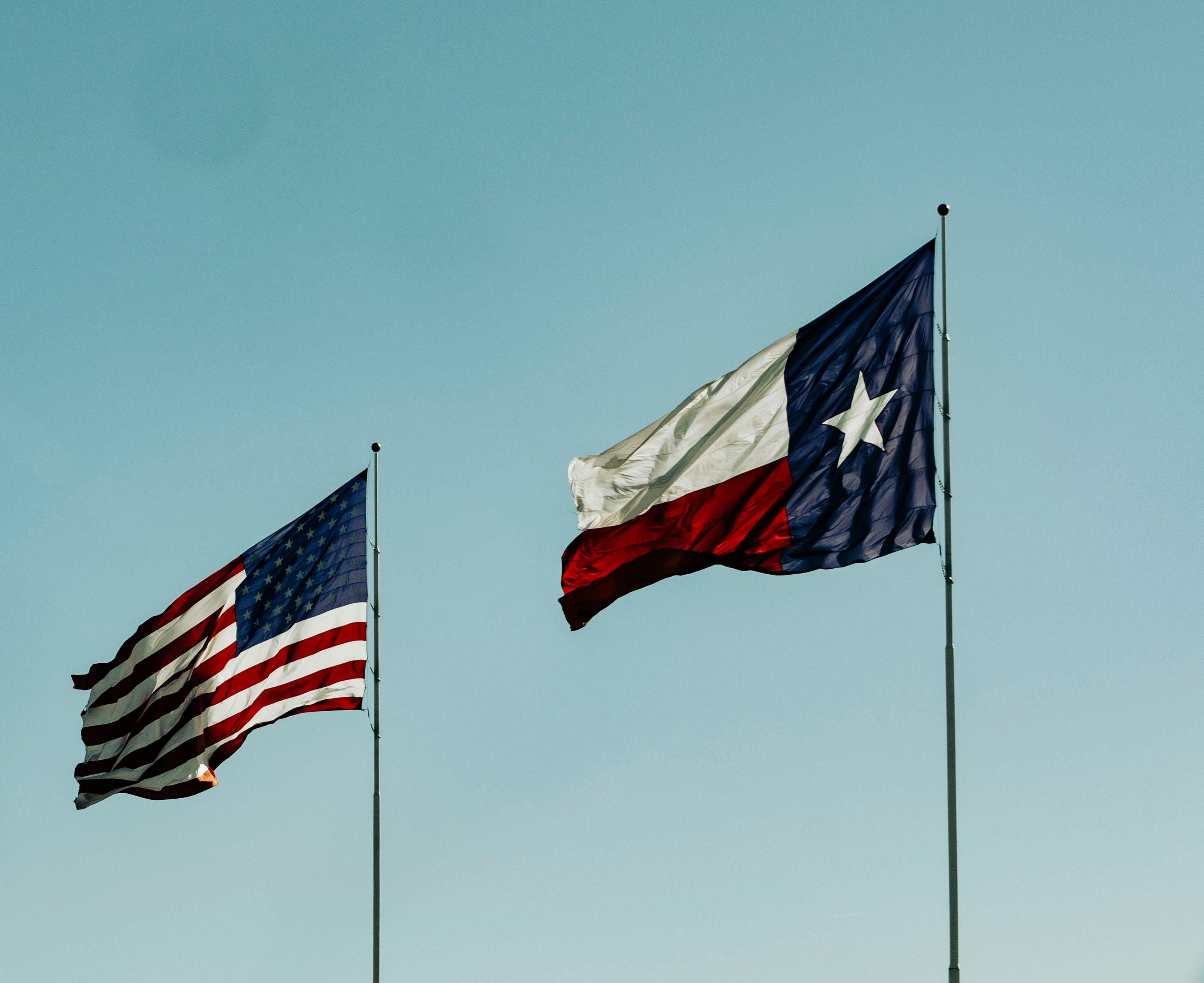 the woodlands Texas Flag 